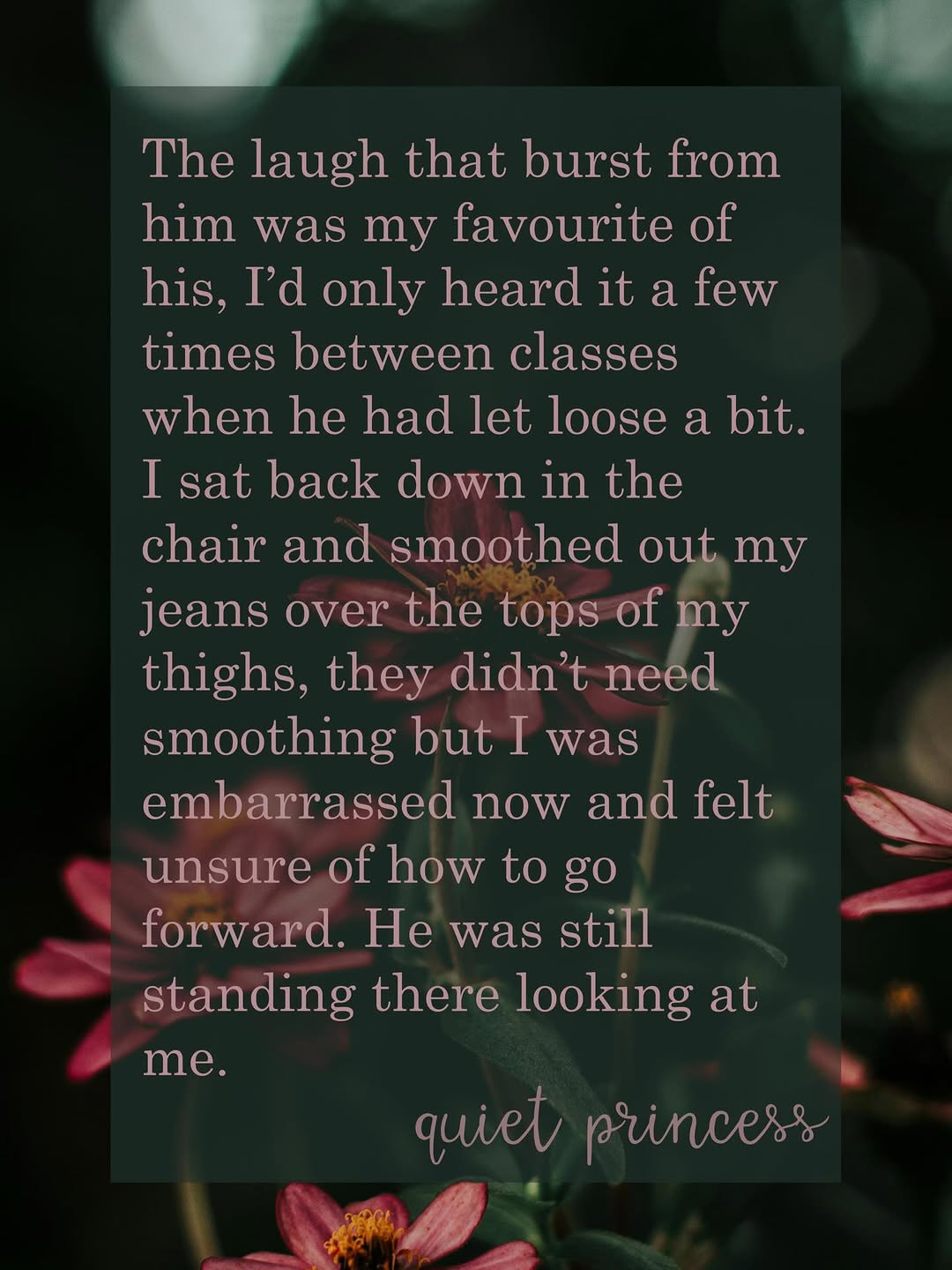 Short story excerpt — erotic fiction by QuietPrincess
